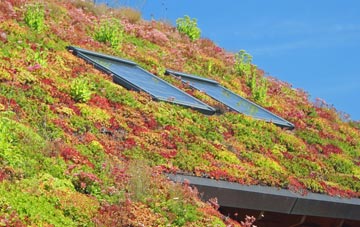 Fishleigh living roof systems