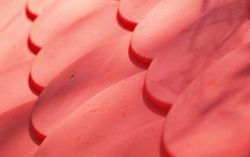 Fishleigh plastic roof costs