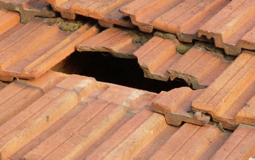 roof repair Fishleigh, Devon